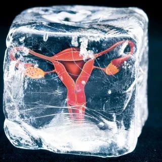 Embryo Freezing