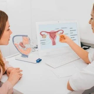 Fertility And Health